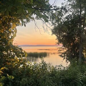 Meet your Posher, Ellen